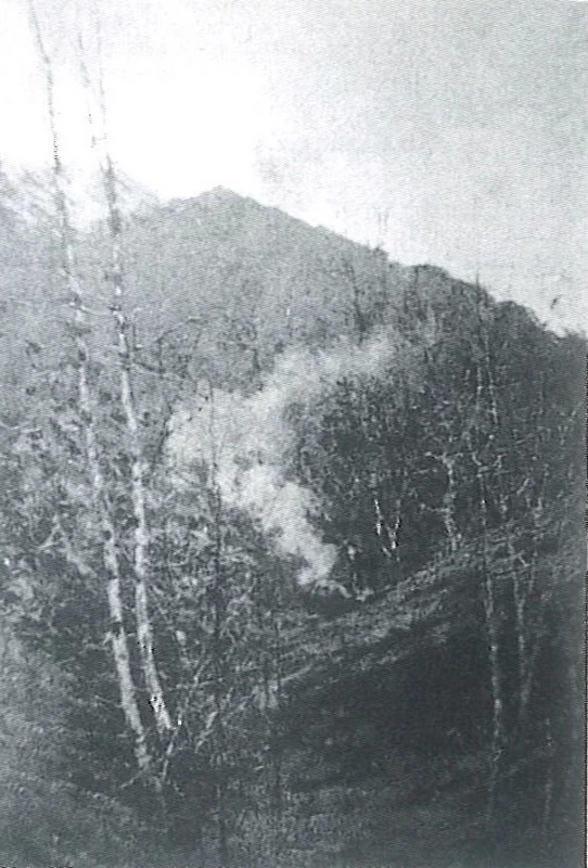  17-Francesco Filippini-Bosco 